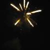 Feux d'artifice 2017 (40)