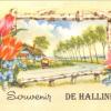 Hallines (1)