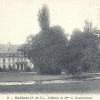 Hallines (10)