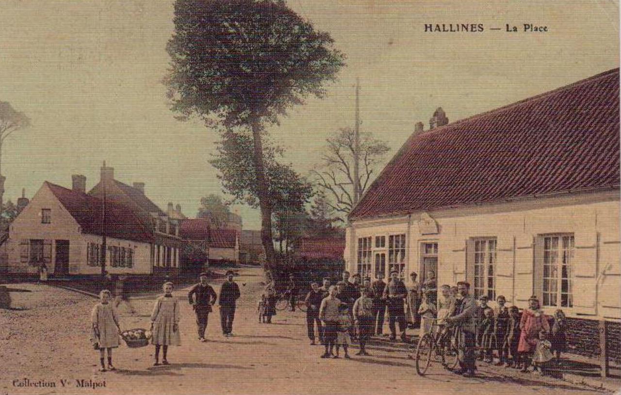 Hallines (21)